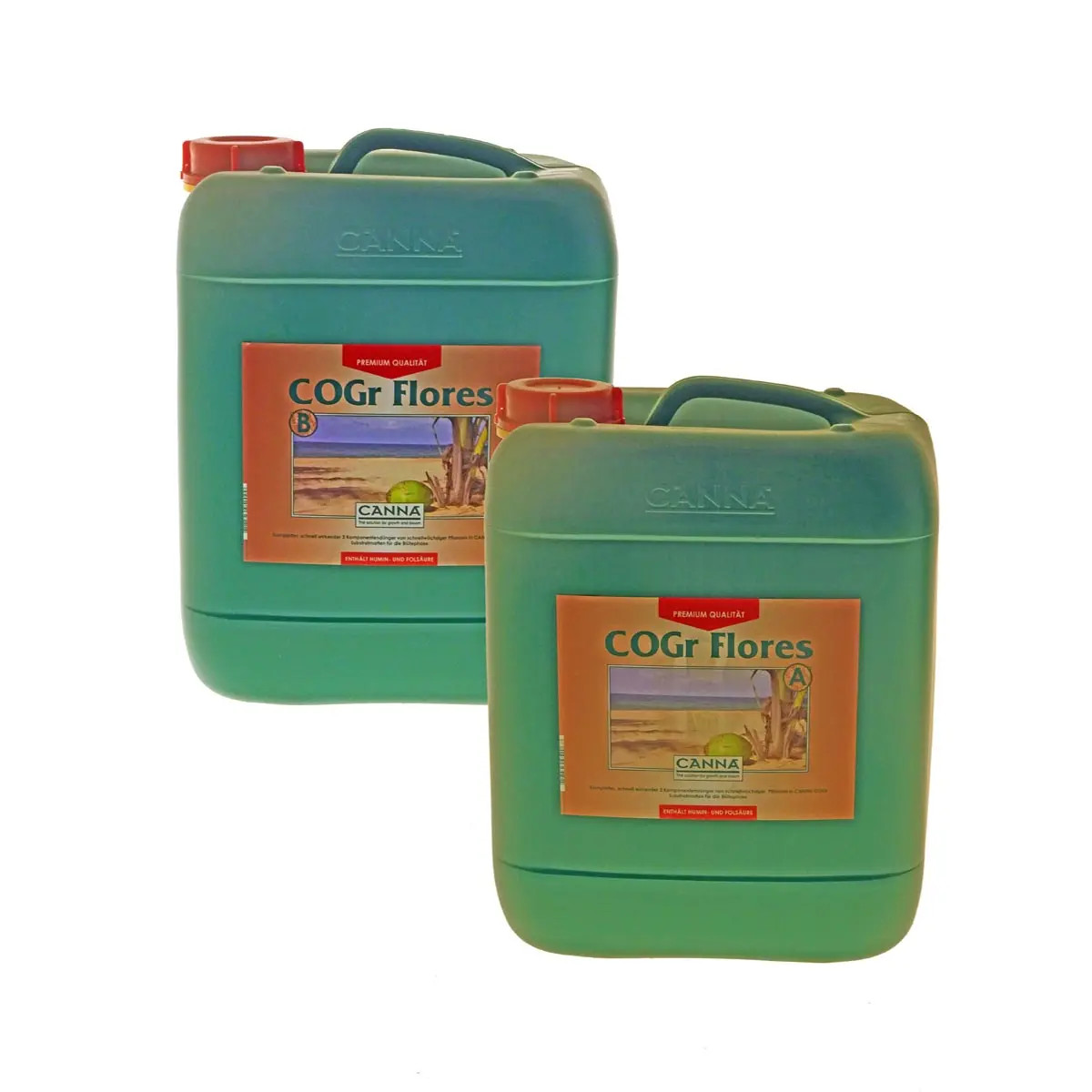 Canna Cogr Flores A&B 2x 10L