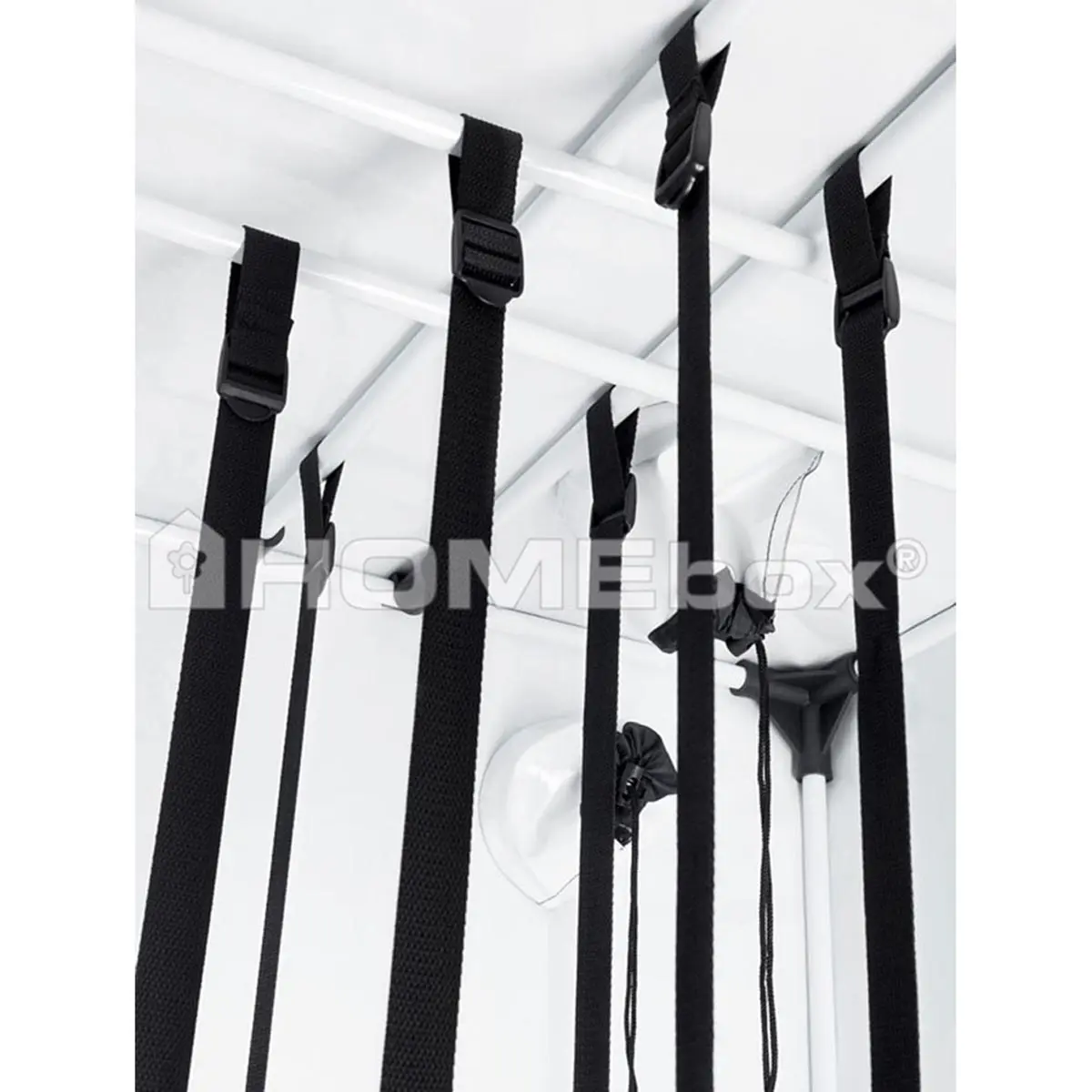 HOMEbox Ambient Q80+