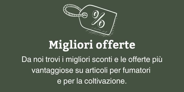 Migliori offerte