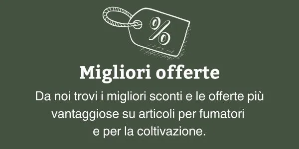 Migliori offerte