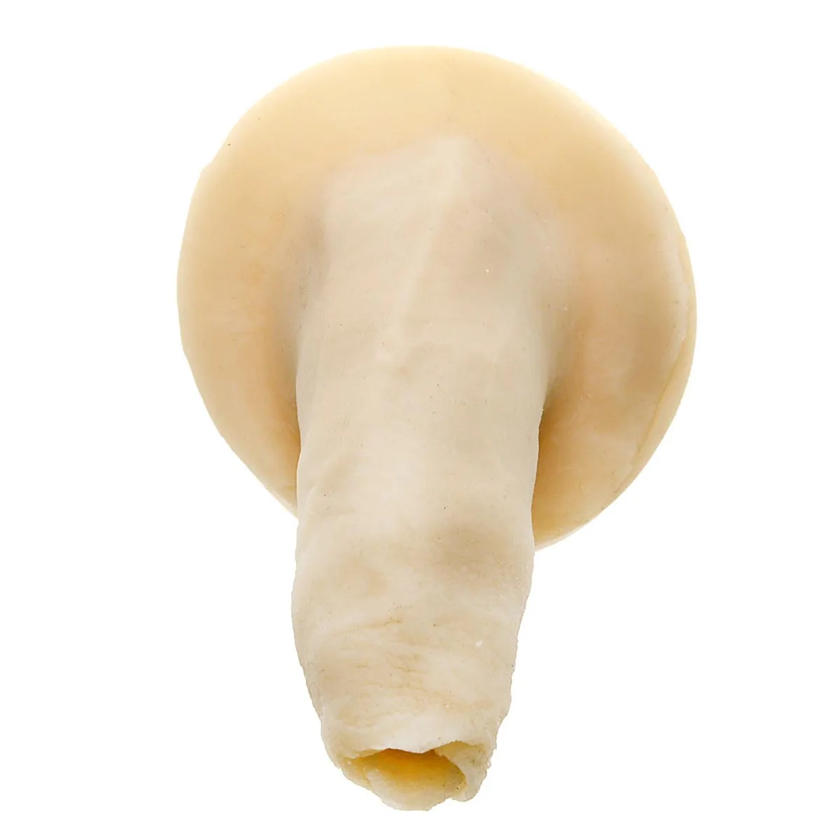 Screeny Weeny 5.0 nerd - Beauty