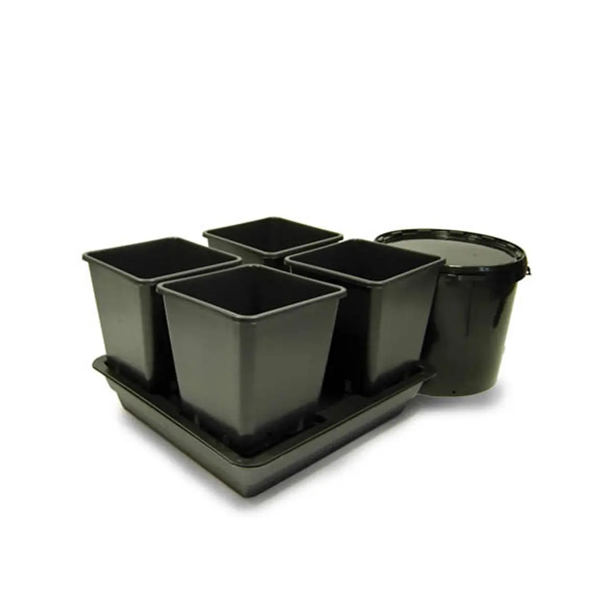 Nutriculture Quad Grow sistema, 4 piante