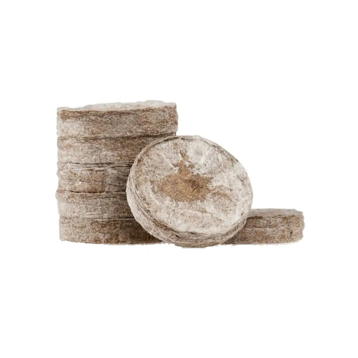 Jiffy tappi da propagazione, 1x