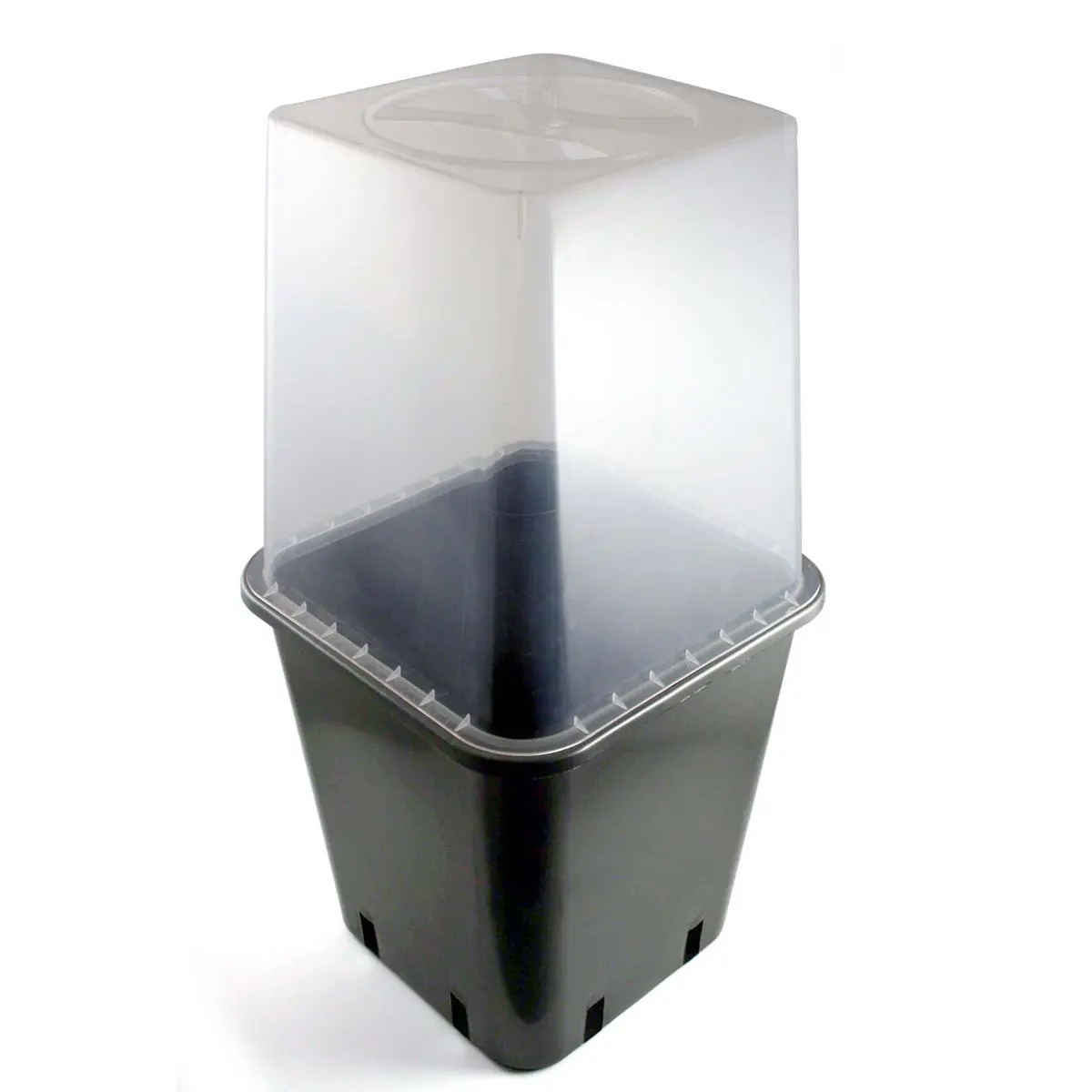 Mini serra, 11 litri