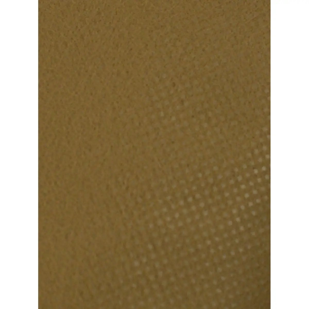 Vello di Protezione invernale, 5 x 1,5 m, 30g / m²