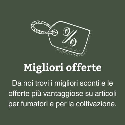 Migliori offerte