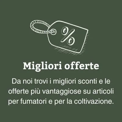 Migliori offerte