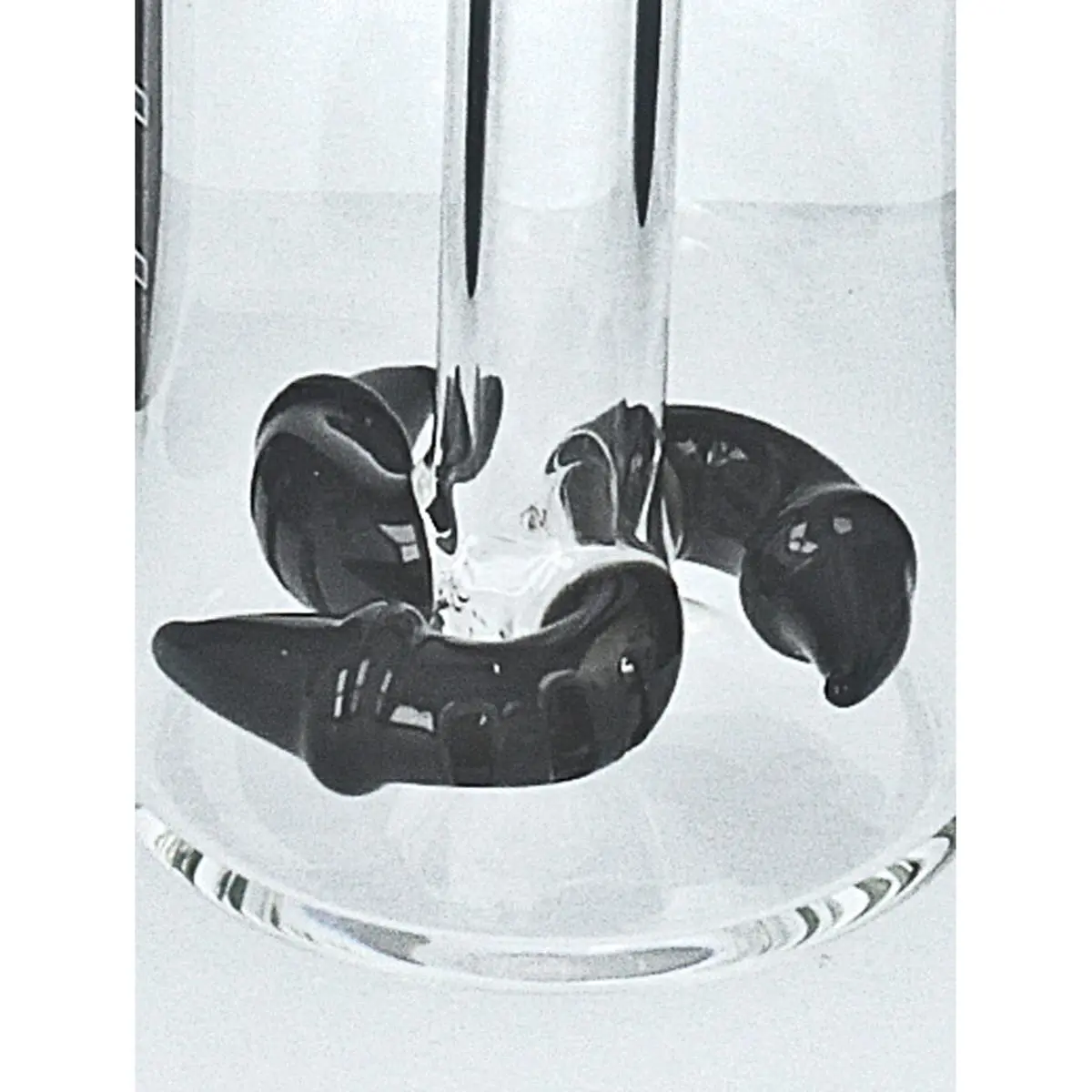 Jelly Joker Raffreddatore 'Boomerang' 14,5