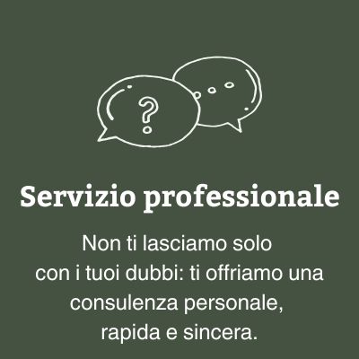 Servizio professionale