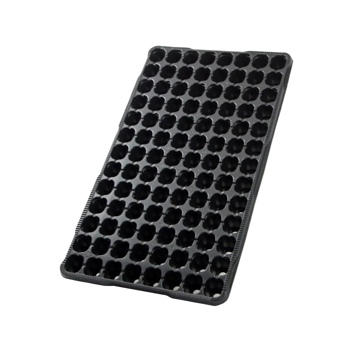 Vassoio di coltiva 50 x 28 cm