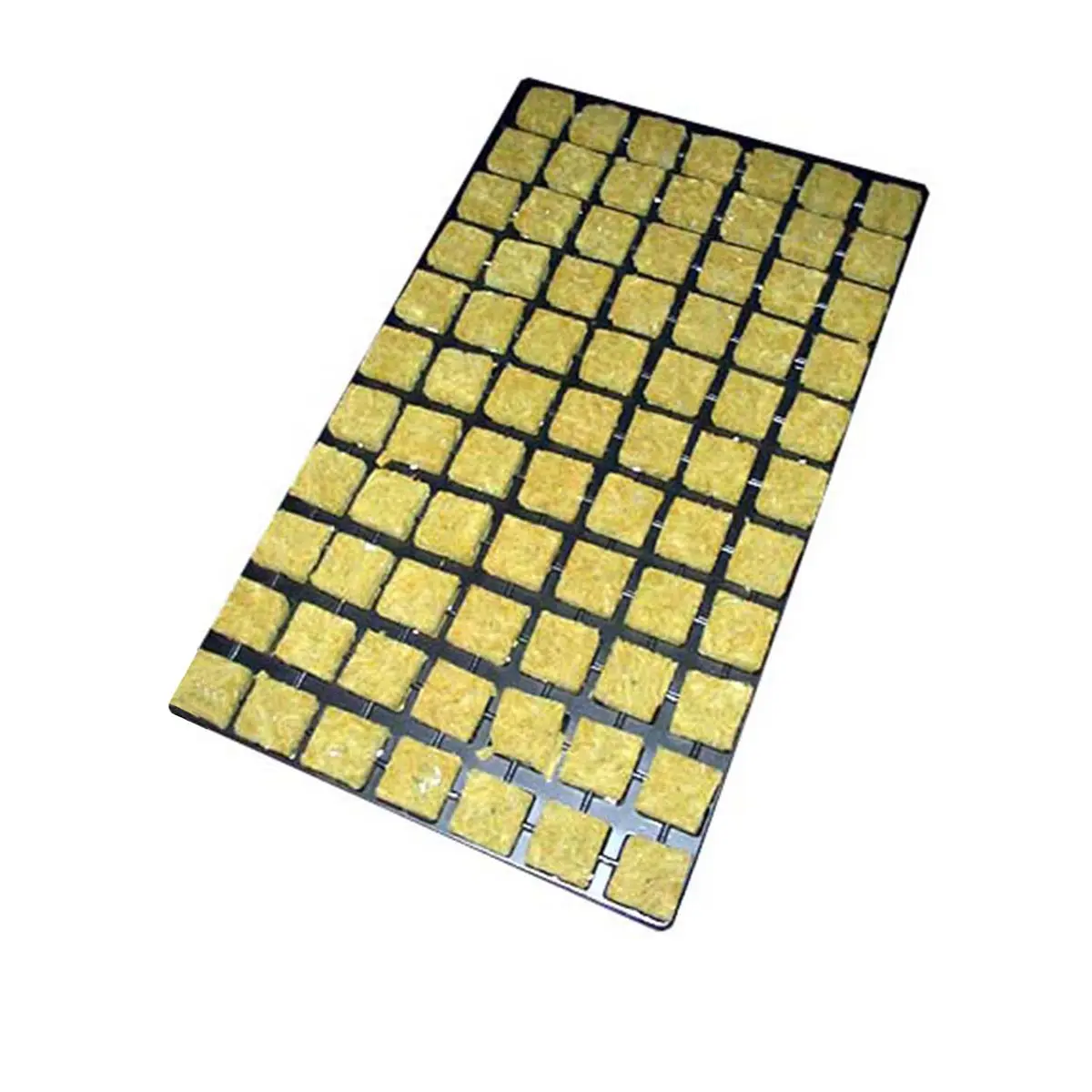 Grodan Plugs - vassoio di propagazione 3.6x3.6cm (77pz.)