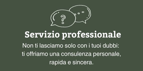 Servizio professionale