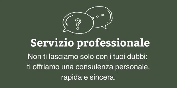 Servizio professionale