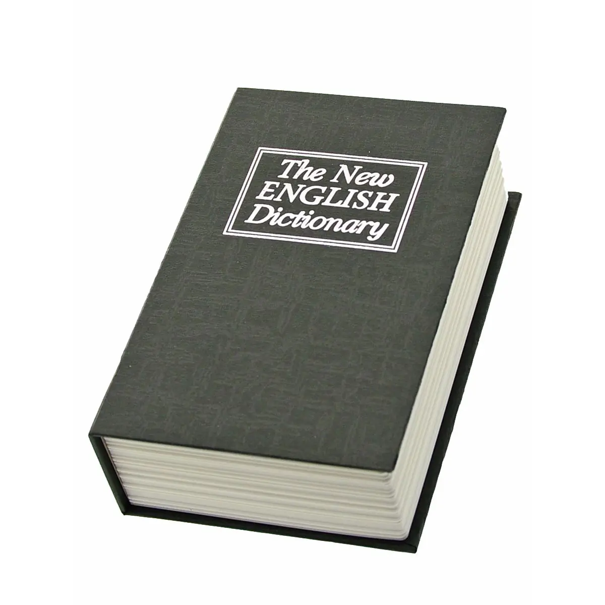 Libro scorta "Dictionary"