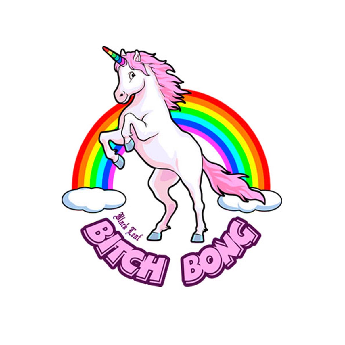 Bong in scatola "Bitch Bong" di Black Leaf con pre-raffreddatore