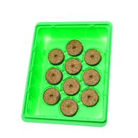 Propagatore emily (20 x 16 x 14 cm) + 10 palline fibra di Cocco & Free dibber