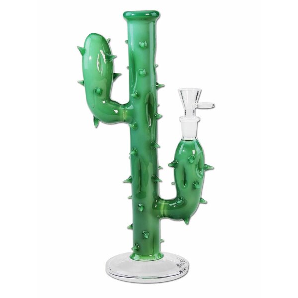 Bong Cactus