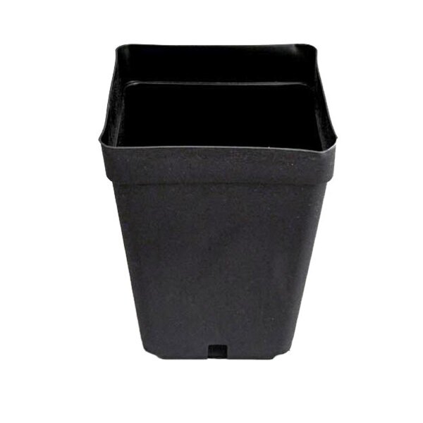 Tekutainer 13 x 13 x 13 cm - Ca. 1.7l