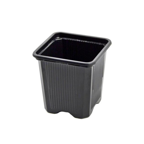 Teku Vaso  (7 x 7 x 8 cm)