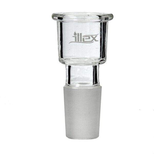 Illex testa cilindrica piccola 18,8