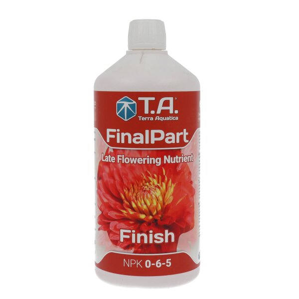 TA FinalPart 1L