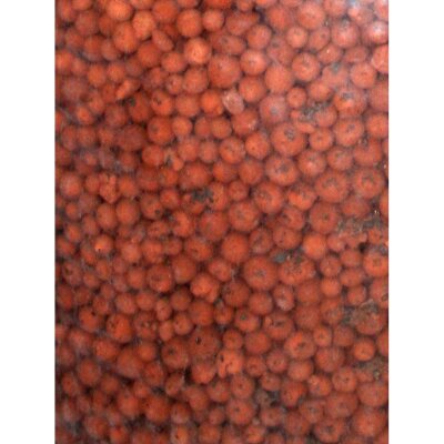 Plagron Euro Pebbles 45L