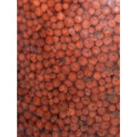 Plagron Euro Pebbles 45L