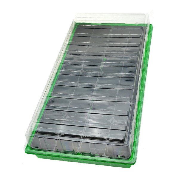 Propagatore walter (54 x 28 x 12 cm) + 36 vasi in plastica (6 x 6 cm)