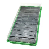 Propagatore walter (54 x 28 x 12 cm) + 36 vasi in...
