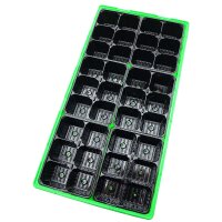 Propagatore walter (54 x 28 x 12 cm) + 36 vasi in plastica (6 x 6 cm)
