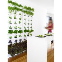 Minigarden verticale