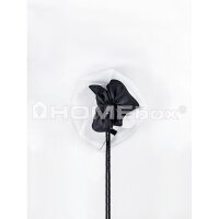 HOMEbox Ambient Q100